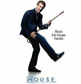 House role model synopsis House role model synopsis